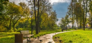 О районе ЖК Новая Клубная