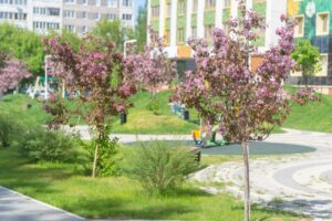 ЖК «ECO life Весна инфраструктура